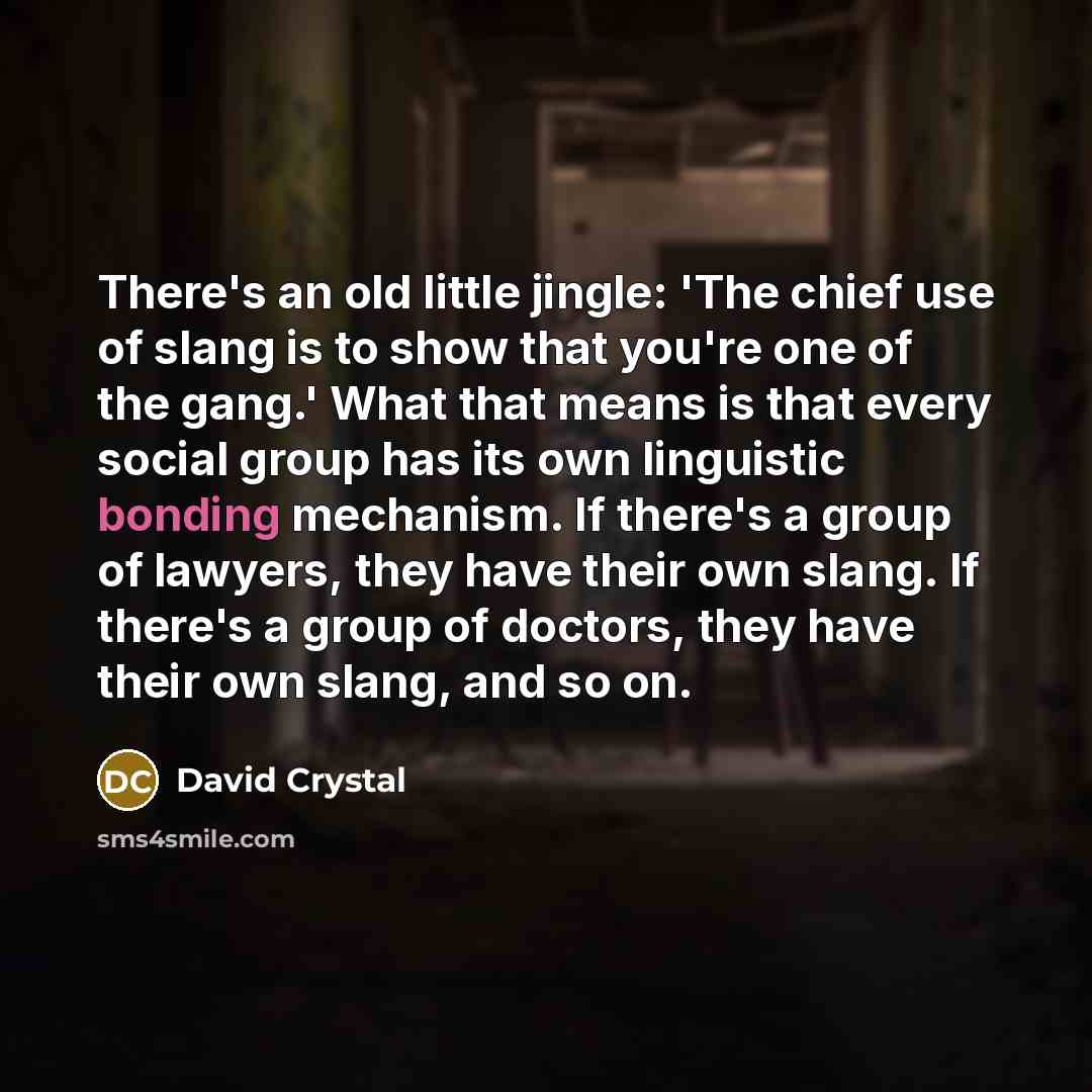 “There's an old little jingle: 'The chief use of slang…” quote by David Crystal