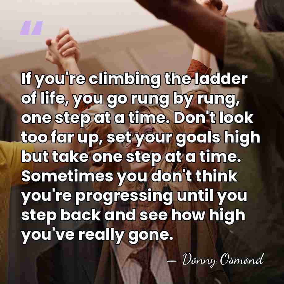 If you're climbing the ladder of life, you go rung by rung,&hellip; - Donny Osmond