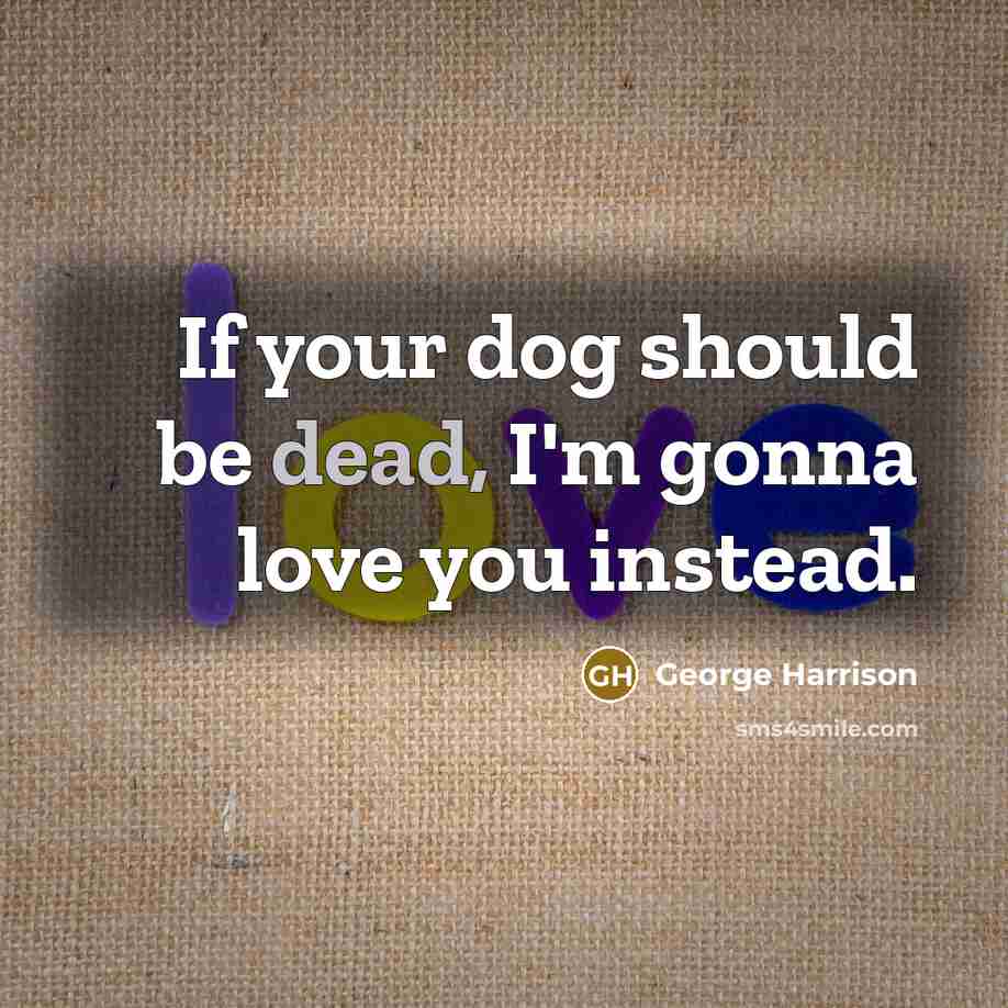 “If your dog should be dead, I'm gonna love you…” quote by George Harrison