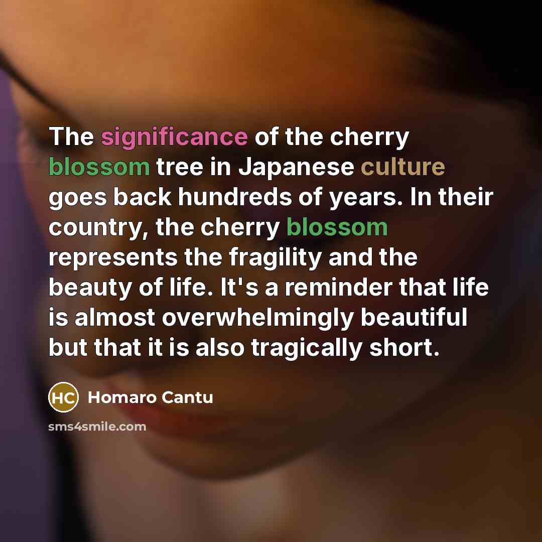 “The significance of the cherry blossom tree in Japanese culture…” quote by Homaro Cantu