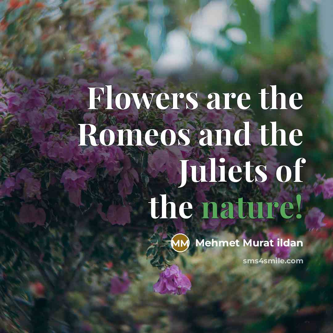 “Flowers are the Romeos and the Juliets of the nature!…” quote by Mehmet Murat Ildan
