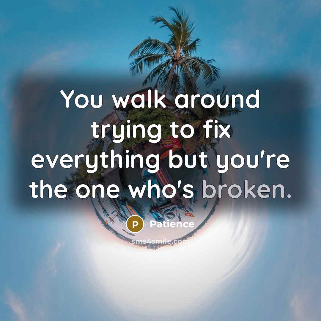 “You walk around trying to fix everything but you're the…” quote by Patience
