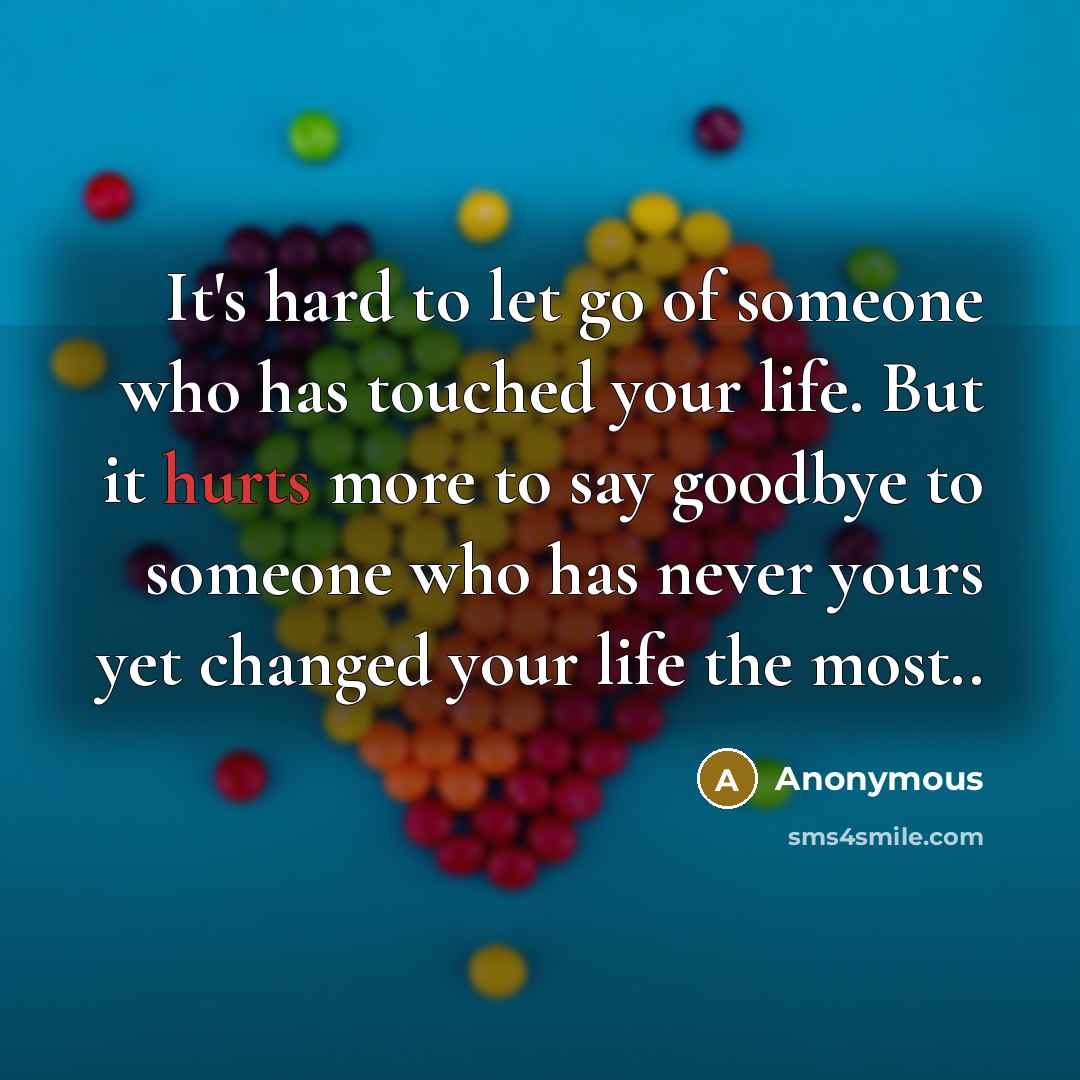 “It's hard to let go of someone who has touched your life. But it hurts more to say goodbye to someone who has never yours yet changed your life the most..” quote by Anonymous