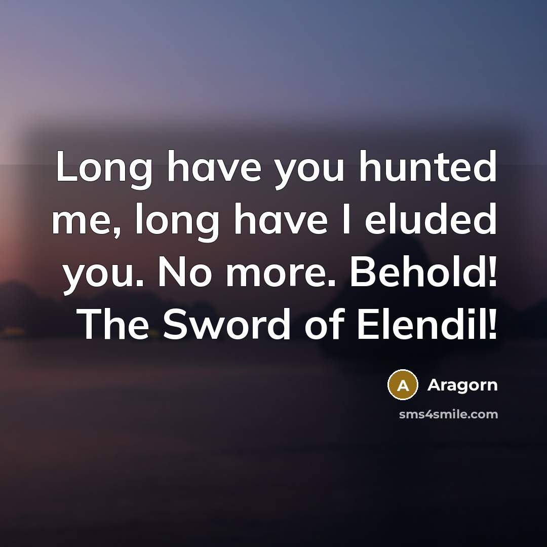 “Long have you hunted me, long have I eluded you.…” quote by Aragorn