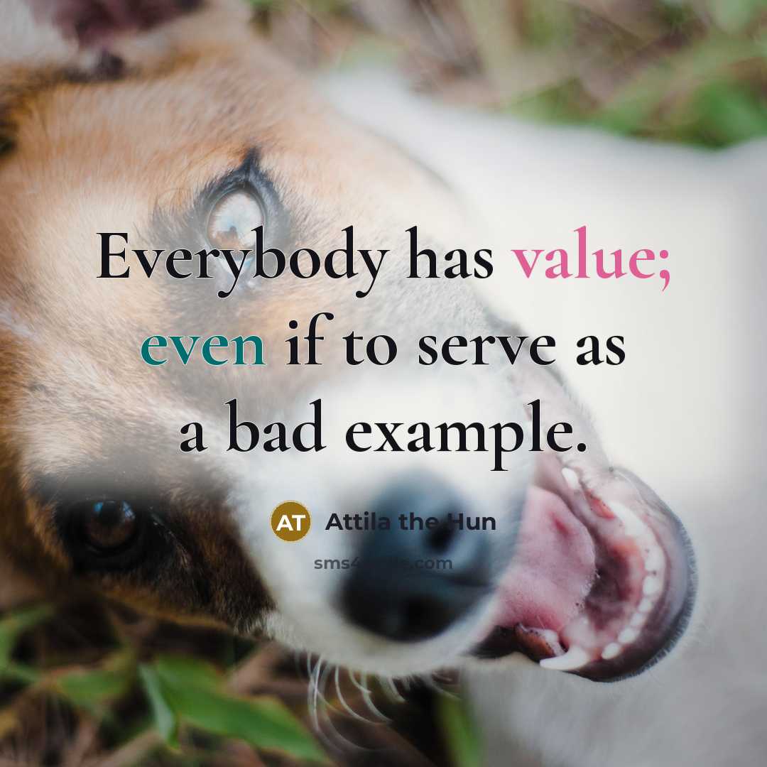 “Everybody has value; even if to serve as a bad…” quote by Attila the Hun