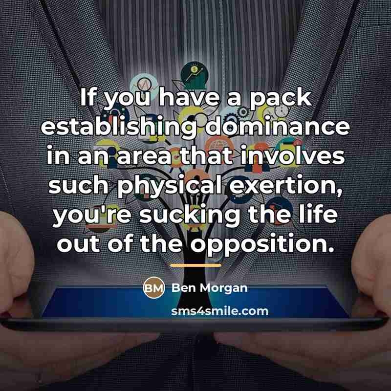 “If you have a pack establishing dominance in an area…” quote by Ben Morgan