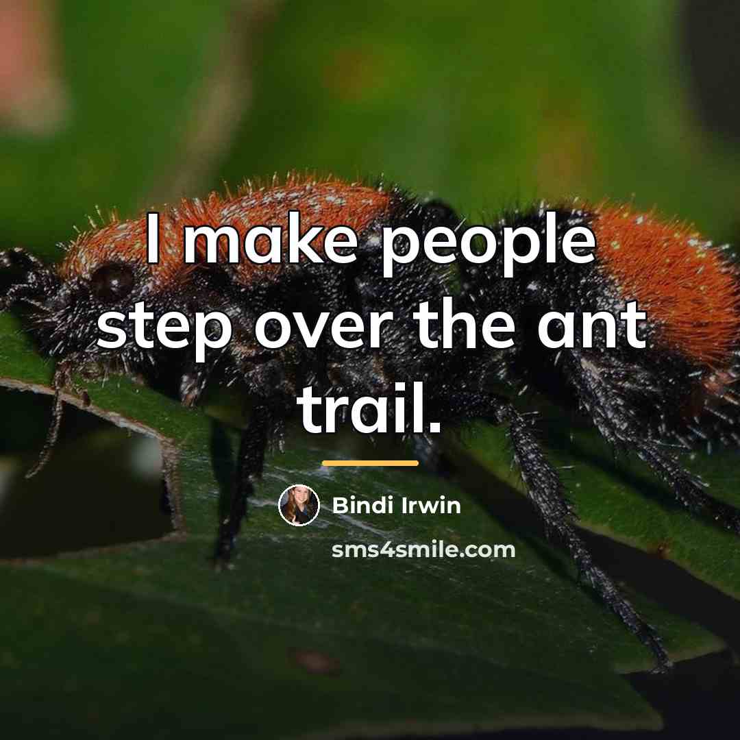 “I make people step over the ant trail.…” quote by Bindi Irwin