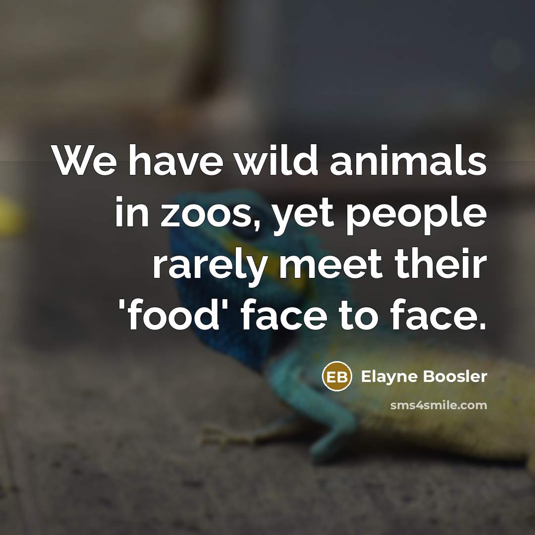 “We have wild animals in zoos, yet people rarely meet their 'food' face to face.” quote by Elayne Boosler