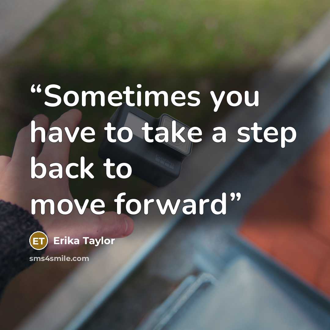 “Sometimes you have to take a step back to move forward” quote by Erika Taylor