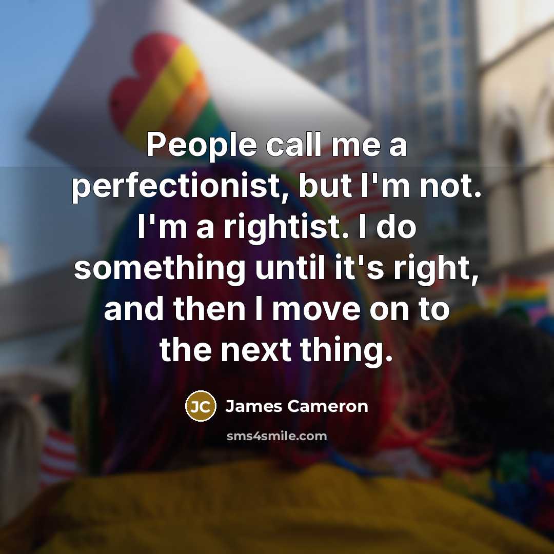 “People call me a perfectionist, but I'm not. I'm a…” quote by James Cameron