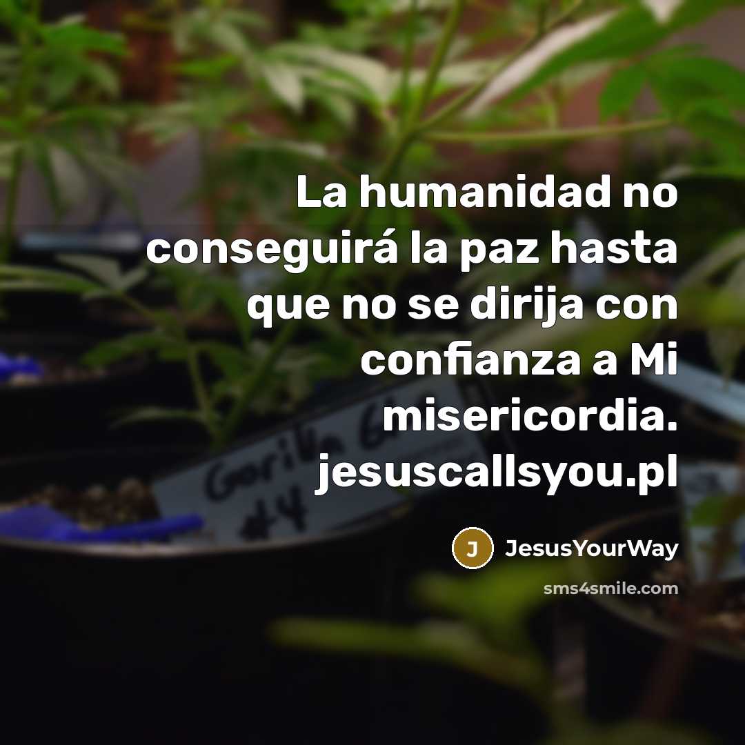 “La humanidad no conseguirá la paz hasta que no se dirija con confianza a Mi misericordia. jesuscallsyou.pl” quote by JesusYourWay