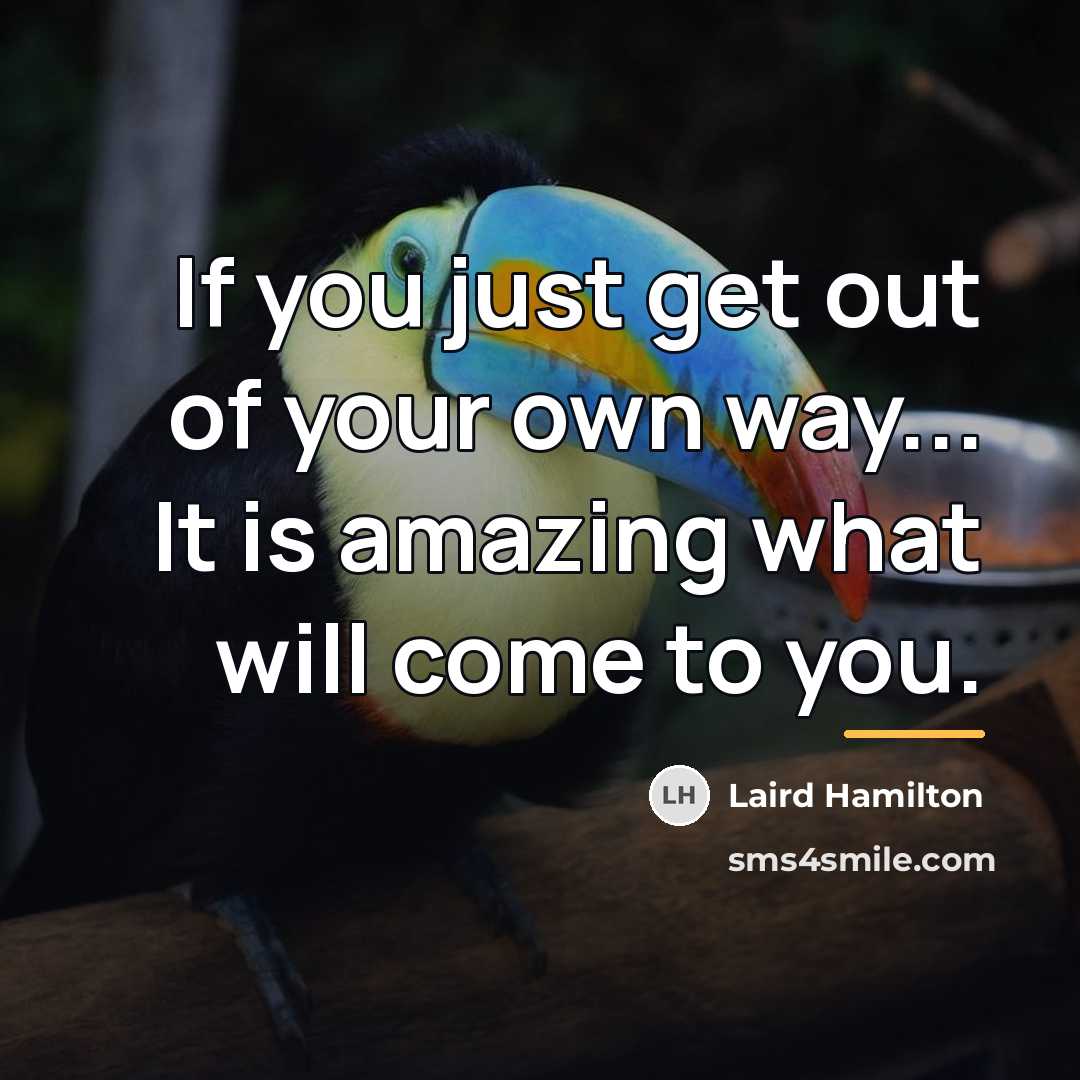 “If you just get out of your own way... It…” quote by Laird Hamilton