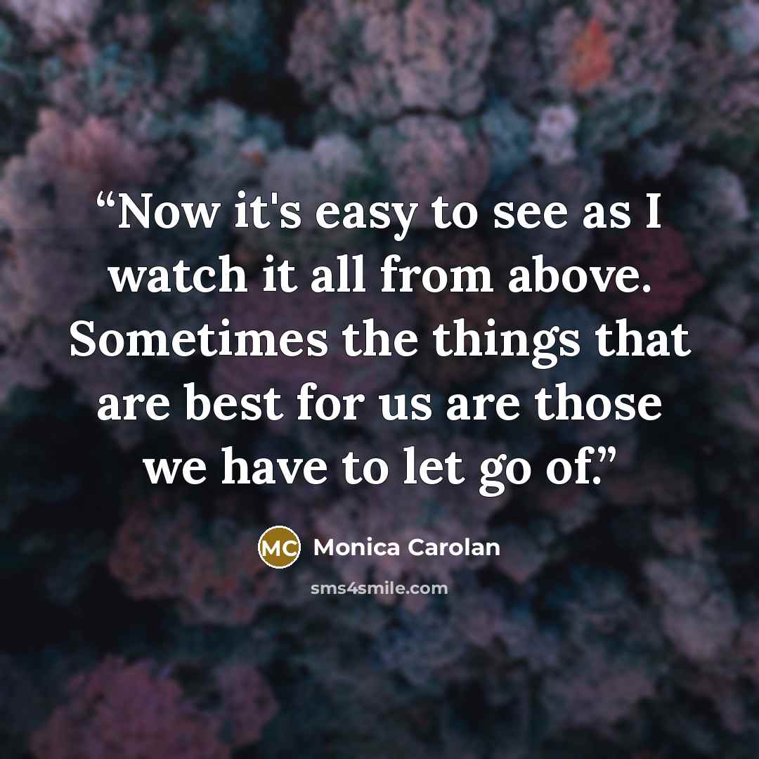 “Now it's easy to see as I watch it all from above. Sometimes the things that are best for us are those we have to let go of.” quote by Monica Carolan