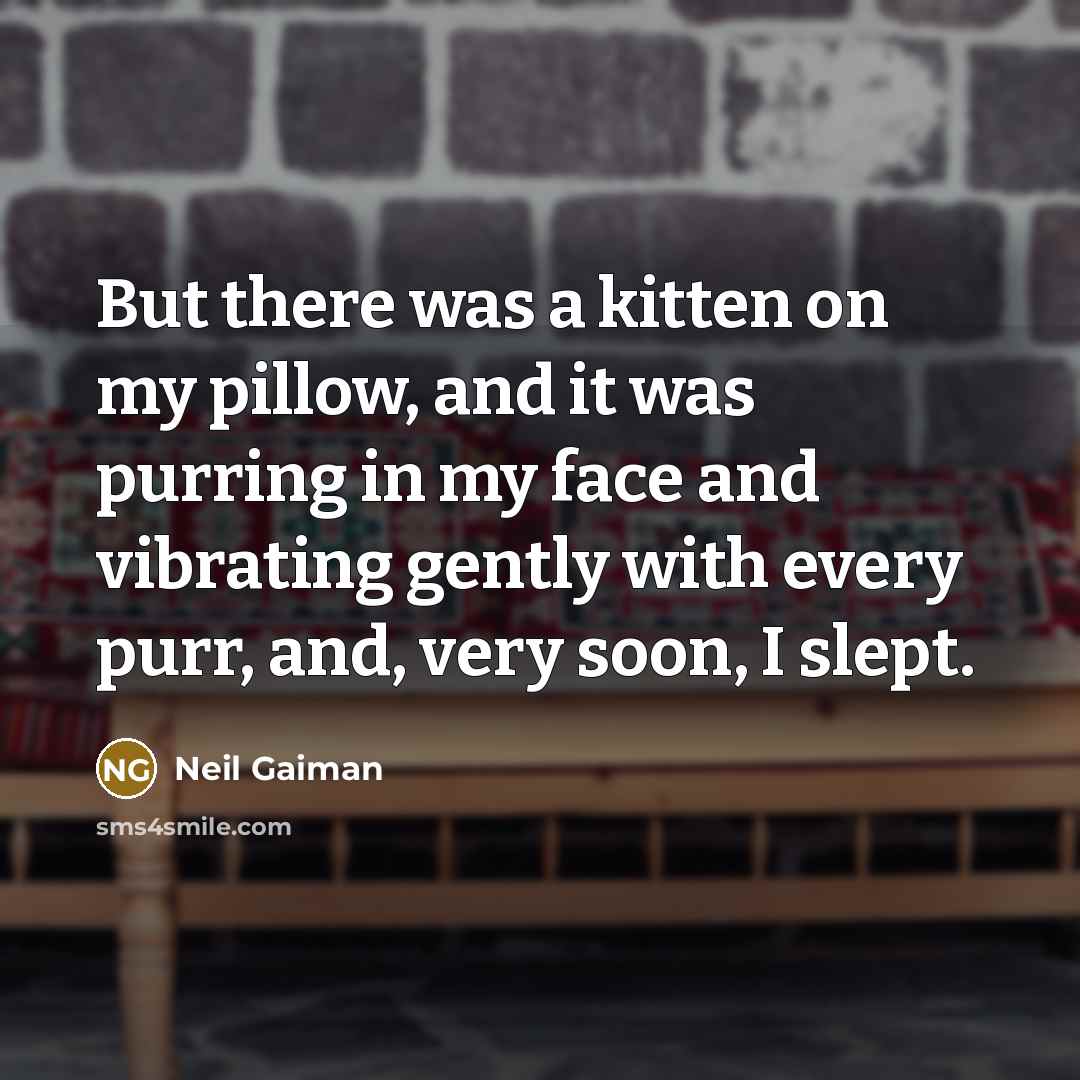 “But there was a kitten on my pillow, and it…” quote by Neil Gaiman
