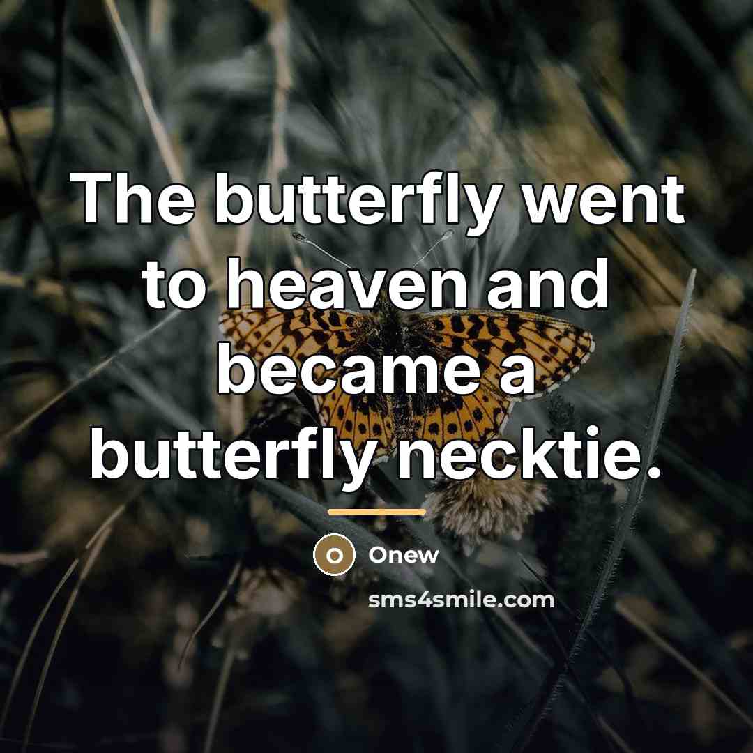 “The butterfly went to heaven and became a butterfly necktie.…” quote by Onew