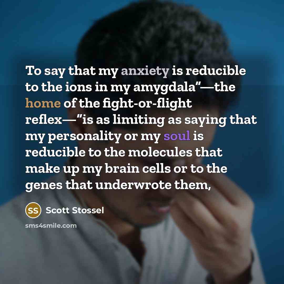 “To say that my anxiety is reducible to the ions…” quote by Scott Stossel