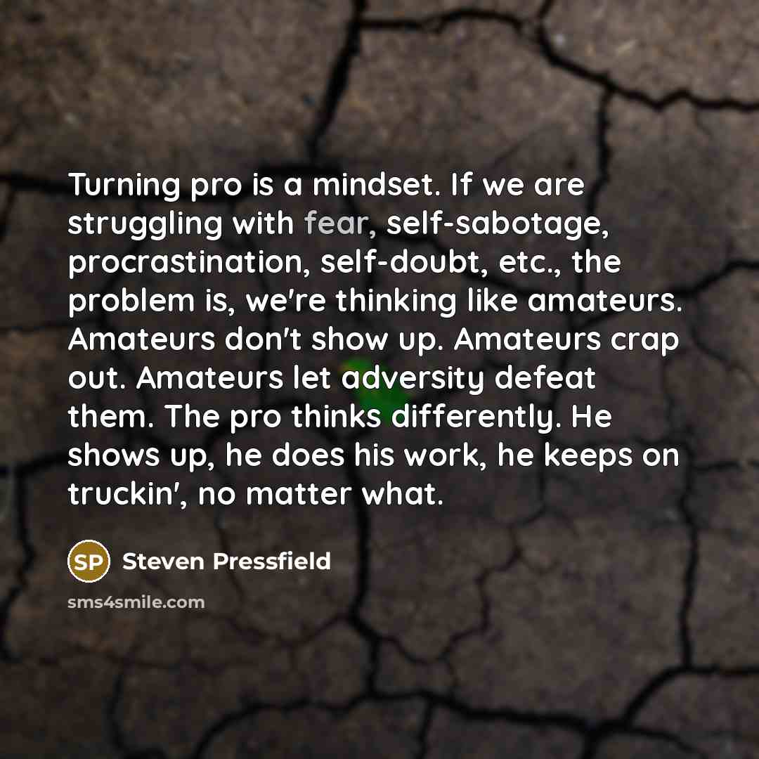 “Turning pro is a mindset. If we are struggling with…” quote by Steven Pressfield