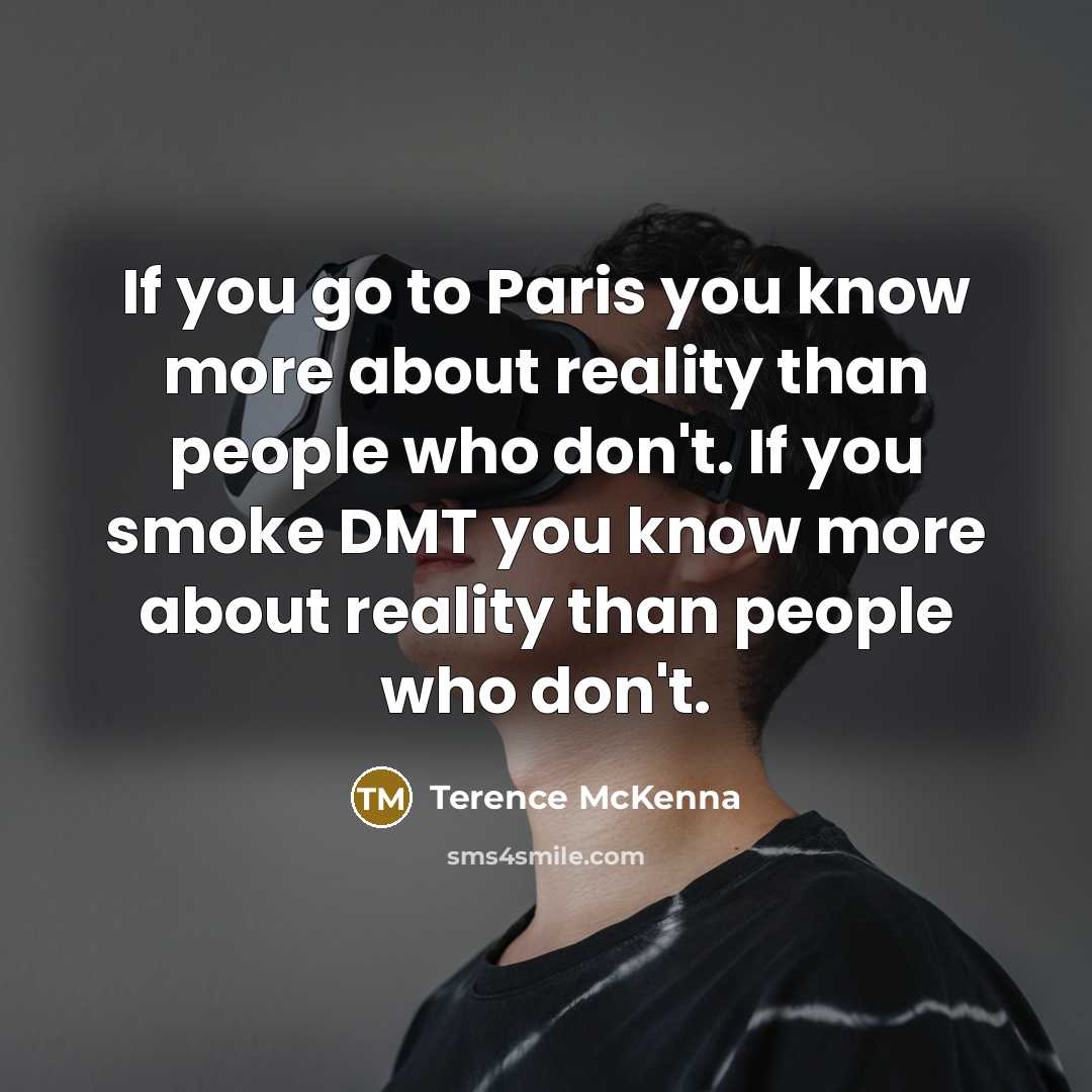 “If you go to Paris you know more about reality…” quote by Terence McKenna