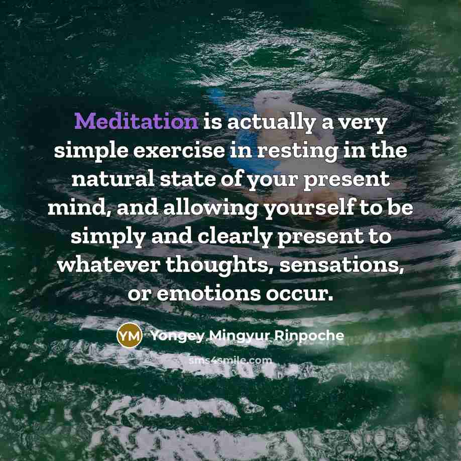 “Meditation is actually a very simple exercise in resting in…” quote by Yongey Mingyur Rinpoche