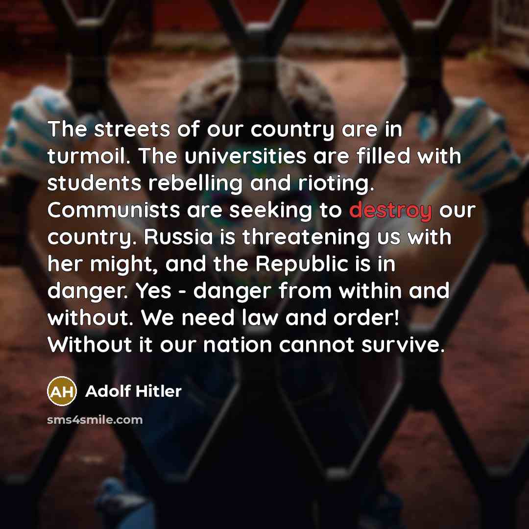 “The streets of our country are in turmoil. The universities…” quote by Adolf Hitler