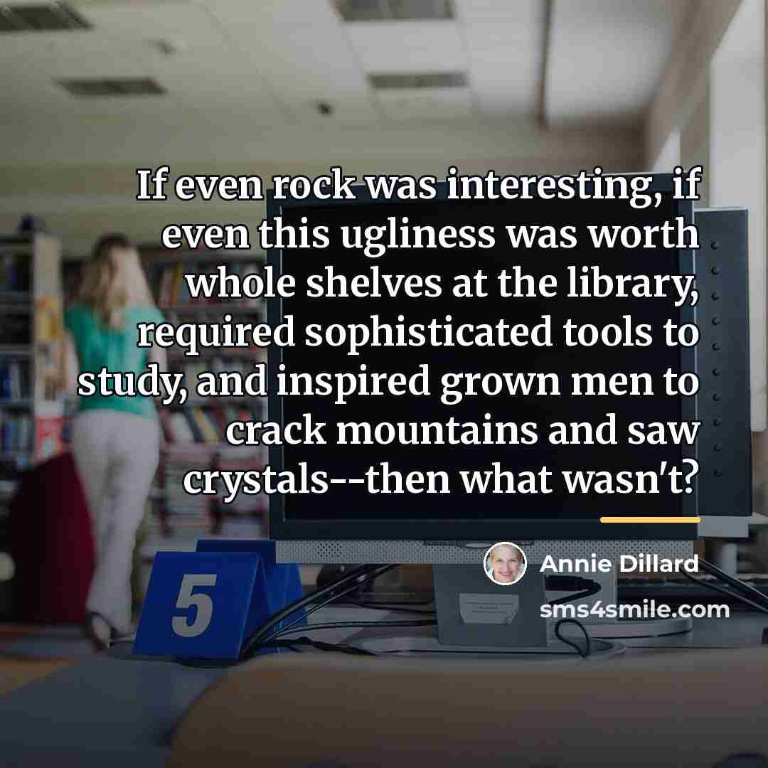 “If even rock was interesting, if even this ugliness was…” quote by Annie Dillard