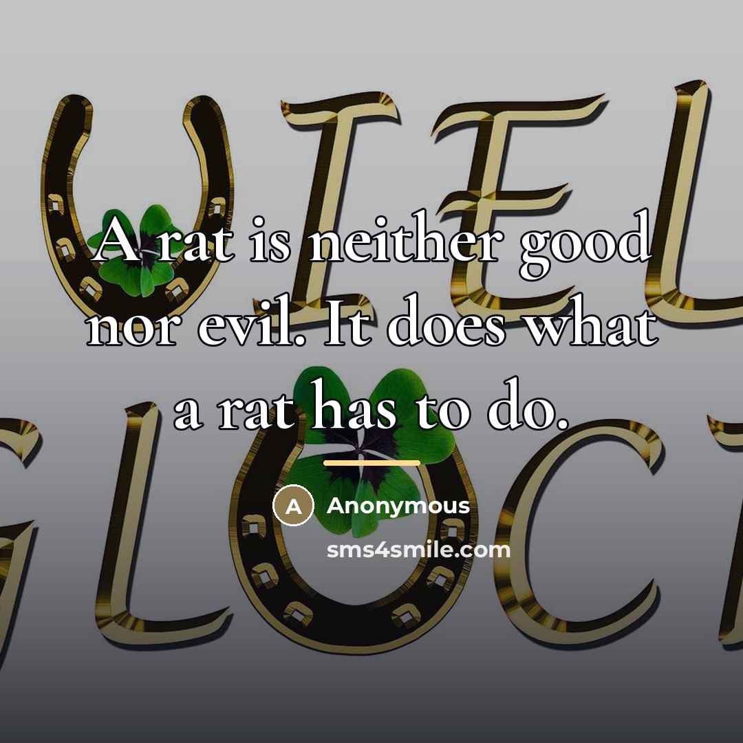 “A rat is neither good nor evil. It does what…” quote by Anonymous