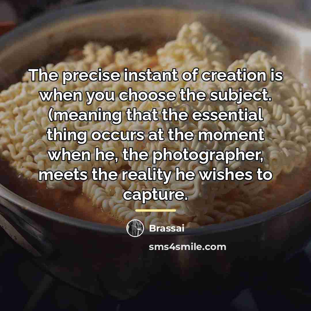“The precise instant of creation is when you choose the…” quote by Brassai