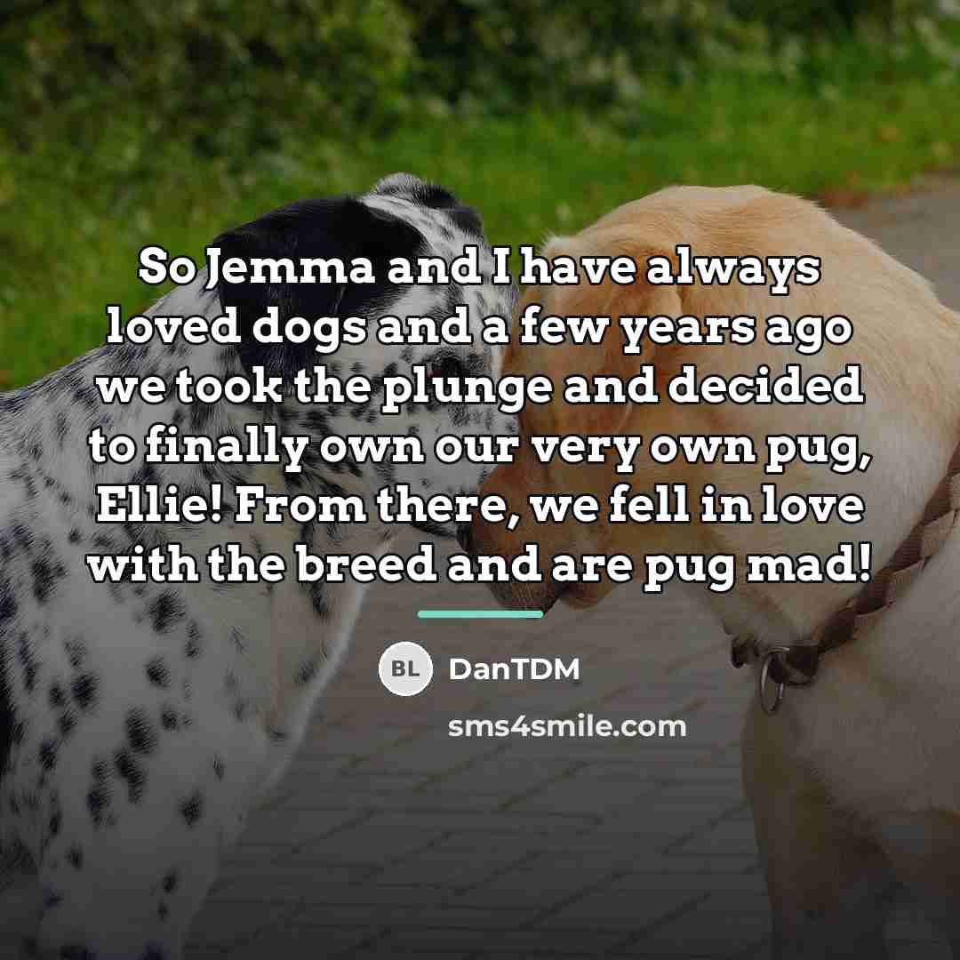 “So Jemma and I have always loved dogs and a…” quote by DanTDM
