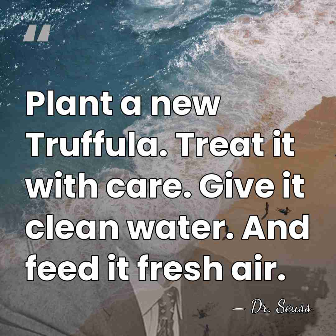 Plant a new Truffula. Treat it with care. Give it clean water.&hellip; - Dr. Seuss