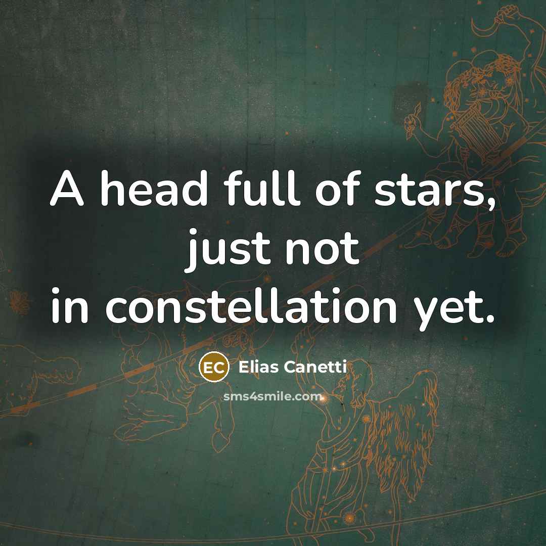 “A head full of stars, just not in constellation yet.…” quote by Elias Canetti