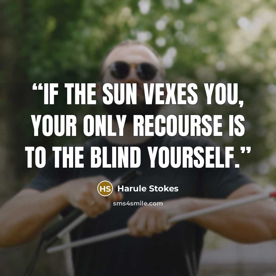 “If the sun vexes you, your only recourse is to the blind yourself.” quote by Harule Stokes
