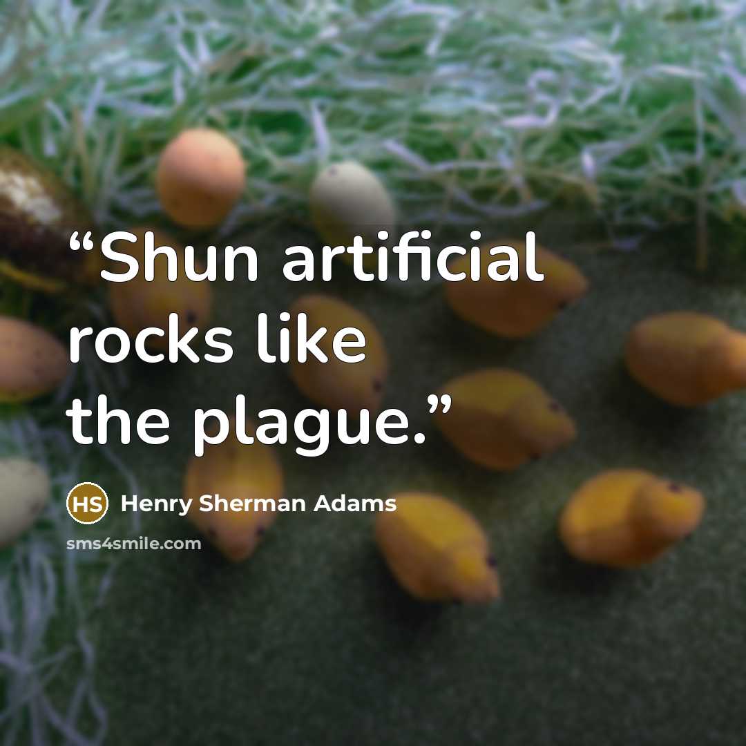 “Shun artificial rocks like the plague.” quote by Henry Sherman Adams