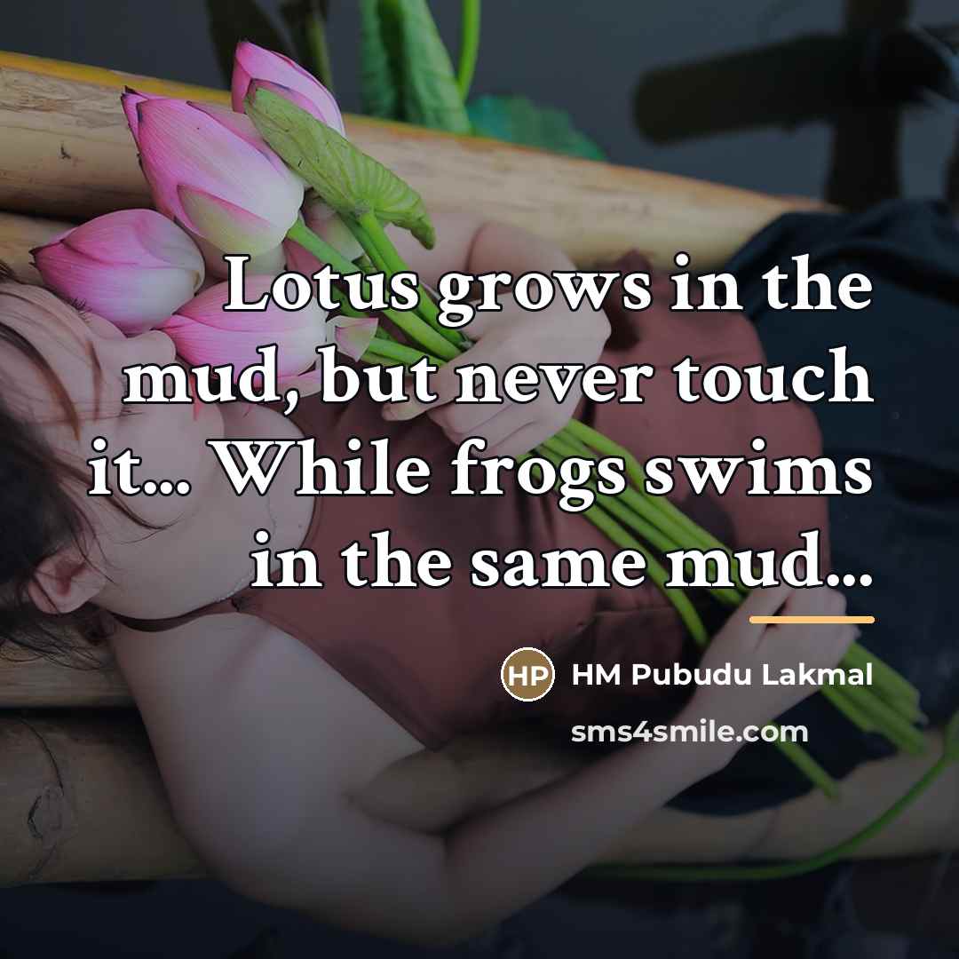 “Lotus grows in the mud, but never touch it... While…” quote by HM Pubudu Lakmal