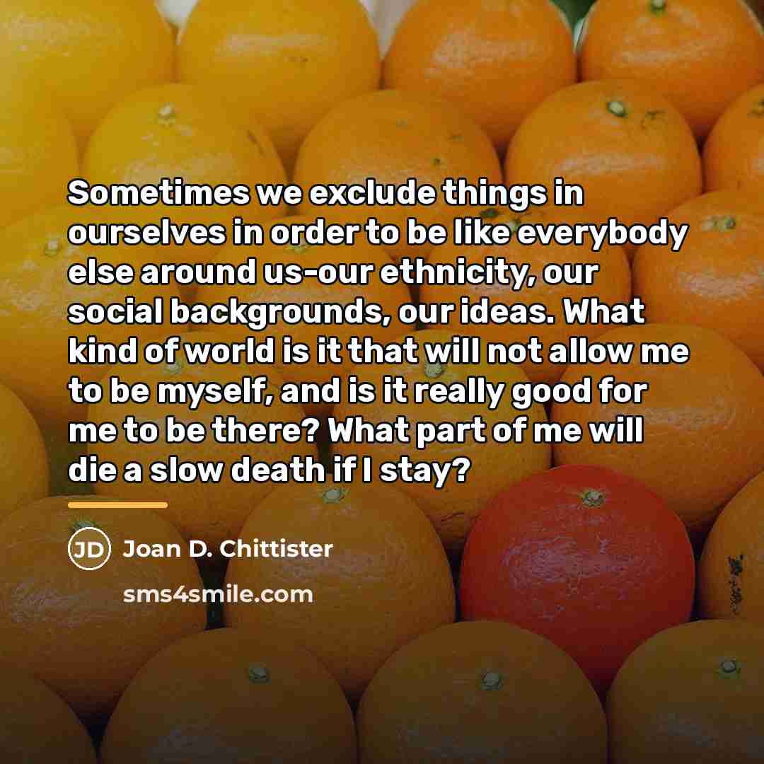 “Sometimes we exclude things in ourselves in order to be…” quote by Joan D. Chittister