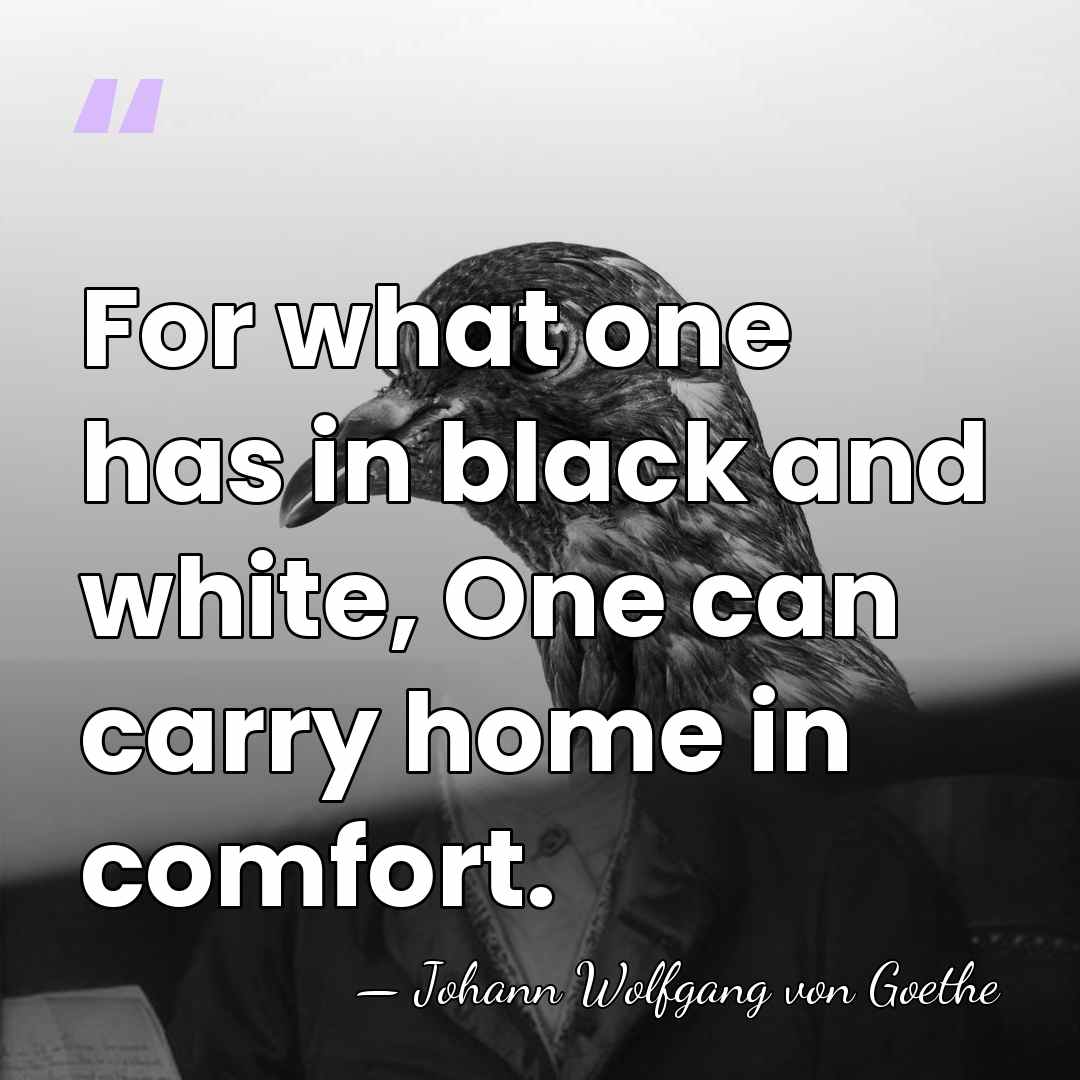 For what one has in black and white, One can carry home&hellip; - Johann Wolfgang von Goethe