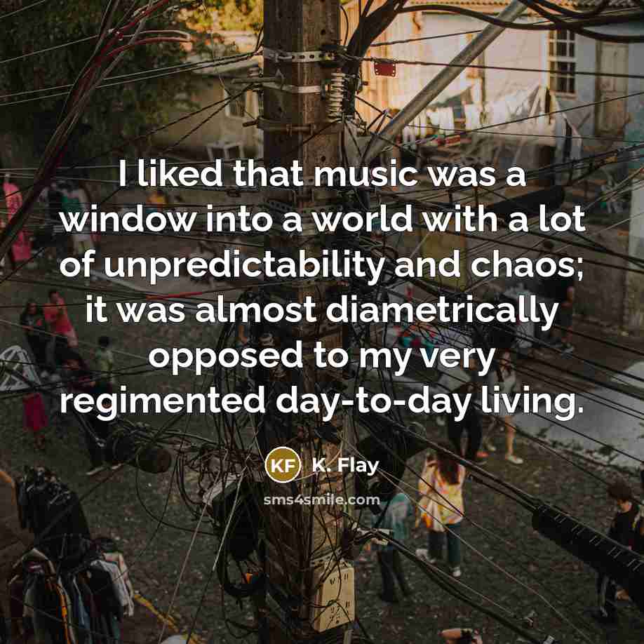 “I liked that music was a window into a world…” quote by K. Flay