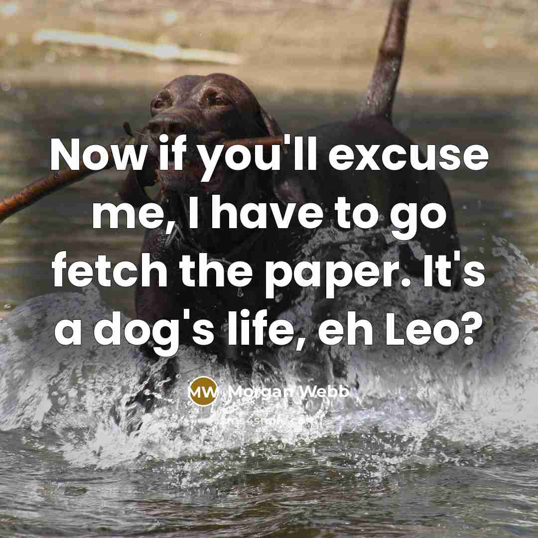 “Now if you'll excuse me, I have to go fetch…” quote by Morgan Webb