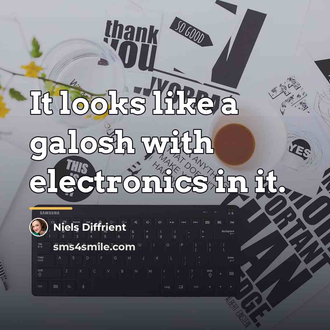“It looks like a galosh with electronics in it.…” quote by Niels Diffrient