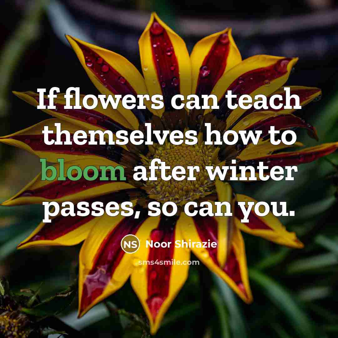 “If flowers can teach themselves how to bloom after winter passes, so can you.” quote by Noor Shirazie