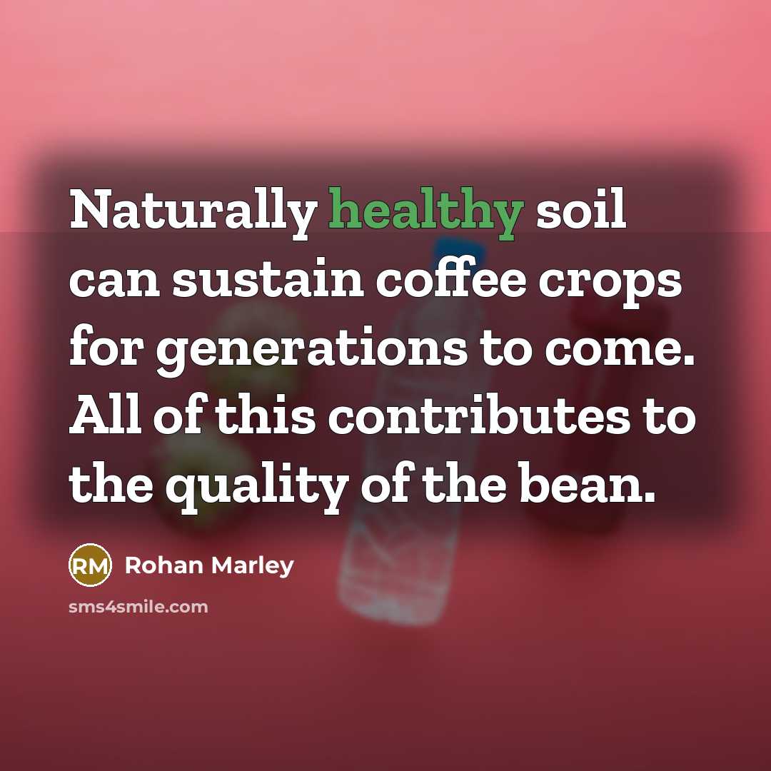 “Naturally healthy soil can sustain coffee crops for generations to…” quote by Rohan Marley