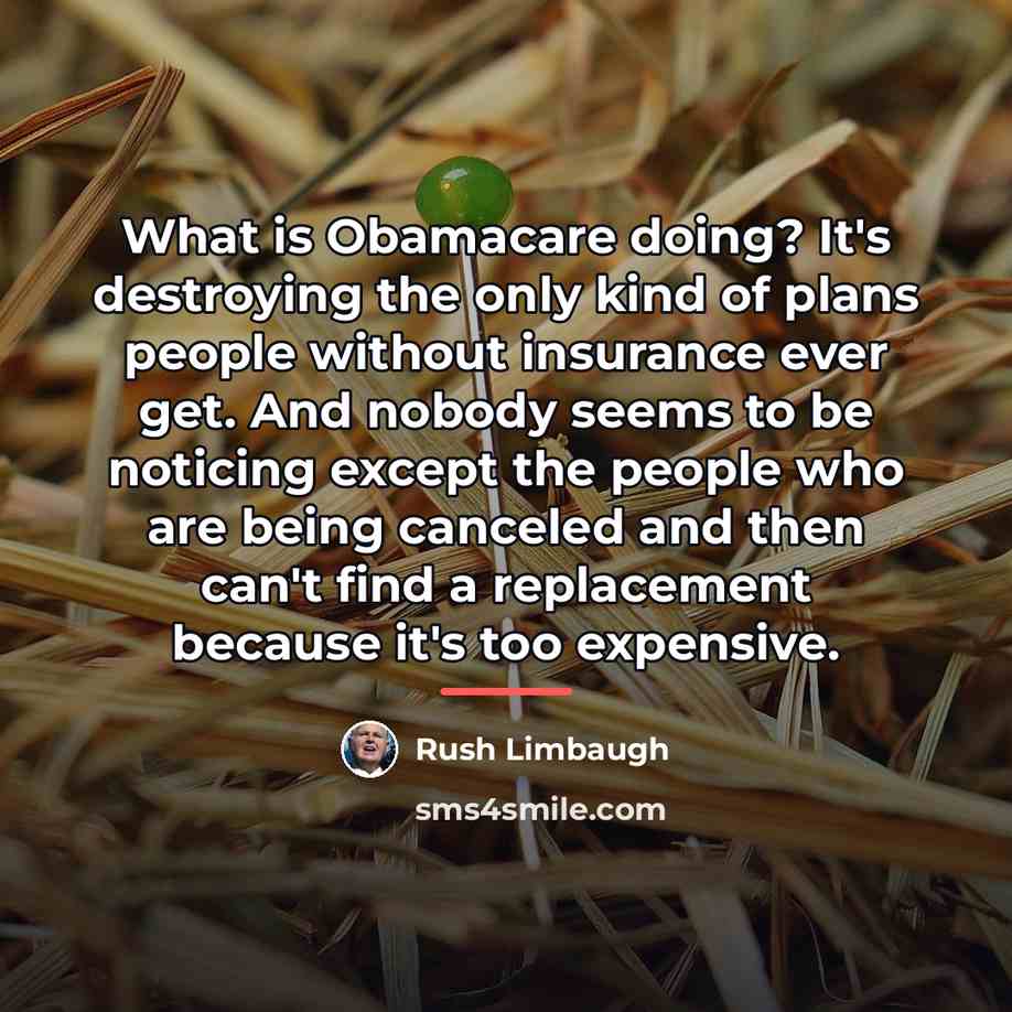 “What is Obamacare doing? It's destroying the only kind of…” quote by Rush Limbaugh
