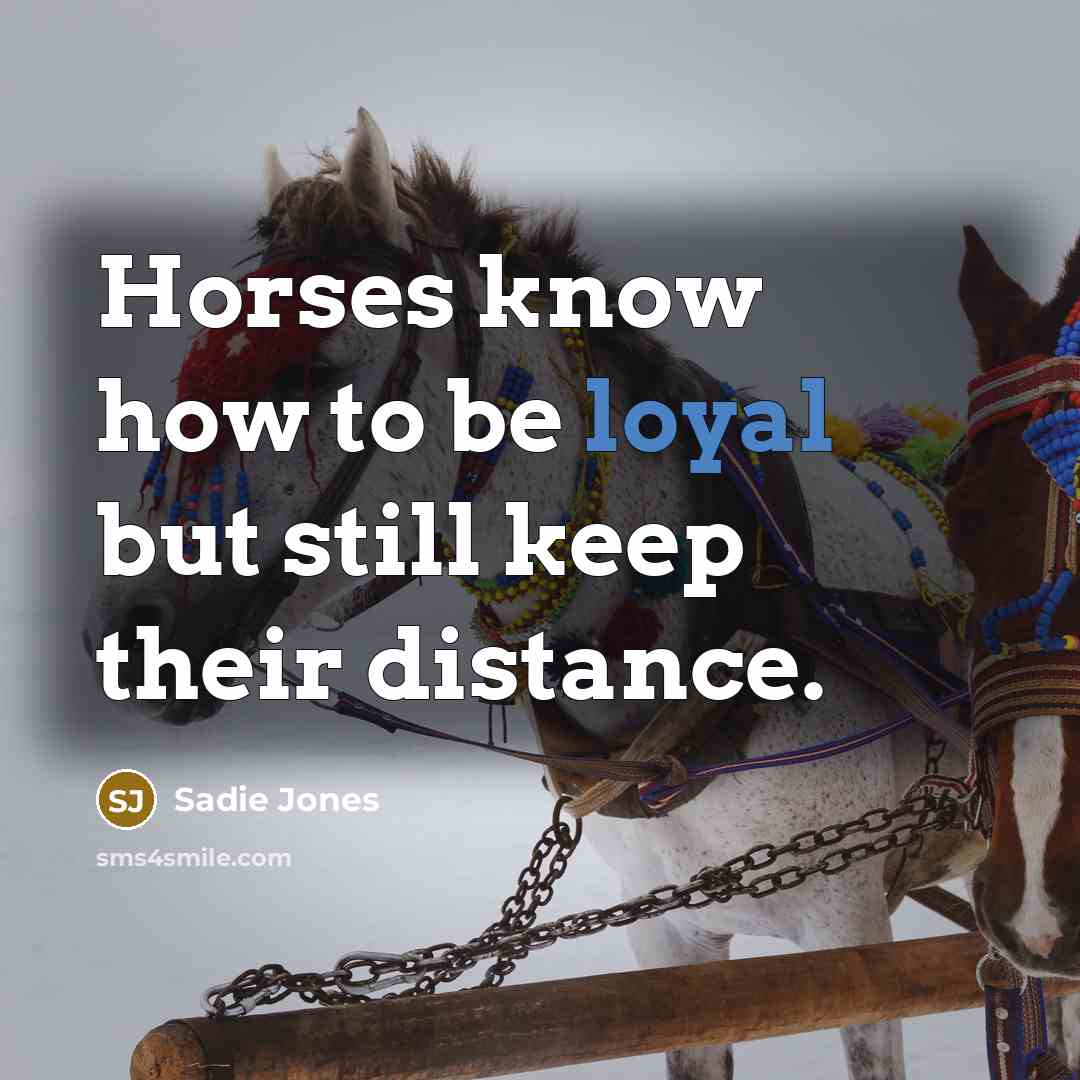 “Horses know how to be loyal but still keep their…” quote by Sadie Jones