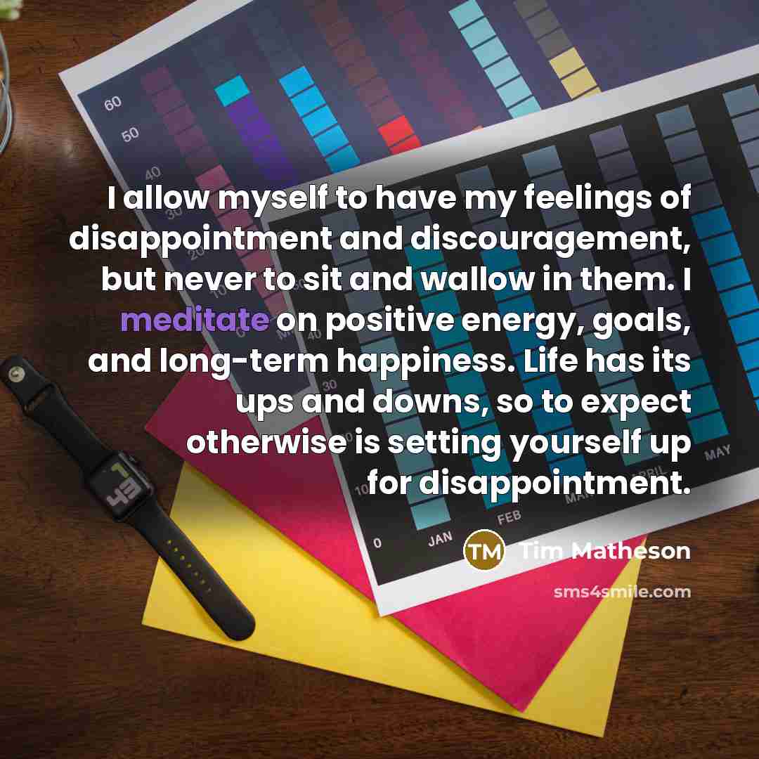 “I allow myself to have my feelings of disappointment and…” quote by Tim Matheson