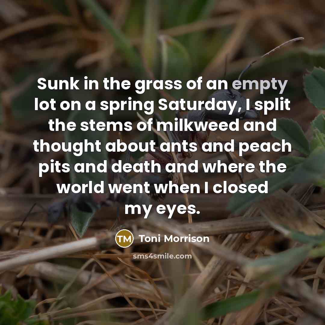 “Sunk in the grass of an empty lot on a…” quote by Toni Morrison