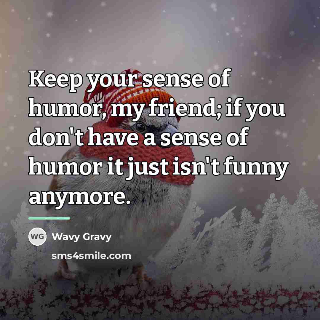 “Keep your sense of humor, my friend; if you don't…” quote by Wavy Gravy