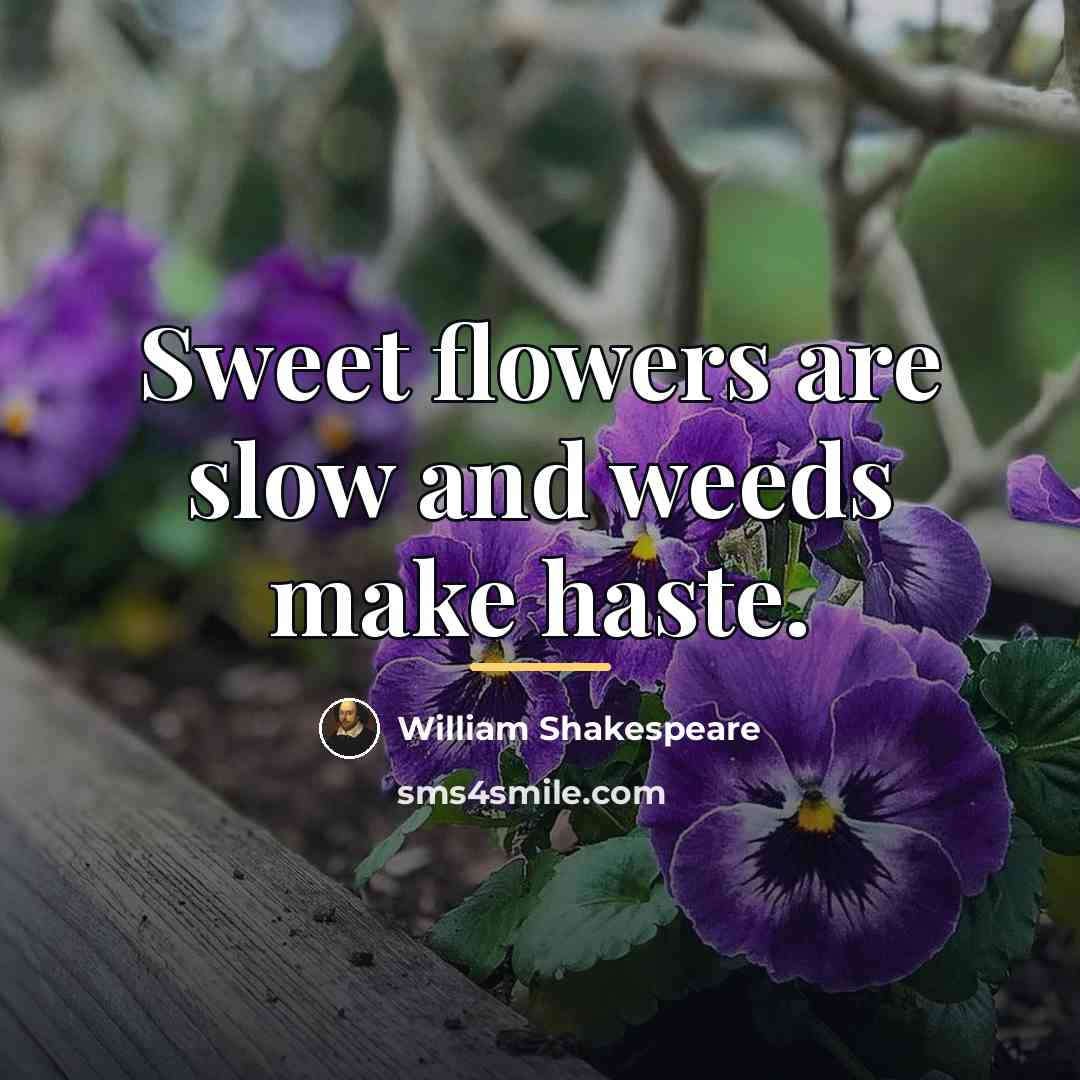 “Sweet flowers are slow and weeds make haste.…” quote by William Shakespeare