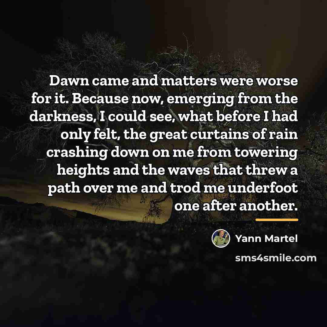 “Dawn came and matters were worse for it. Because now,…” quote by Yann Martel