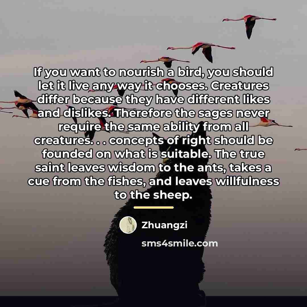 “If you want to nourish a bird, you should let…” quote by Zhuangzi