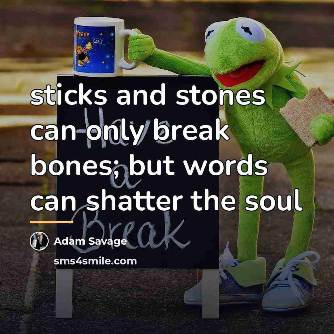 “sticks and stones can only break bones; but words can…” quote by Adam Savage
