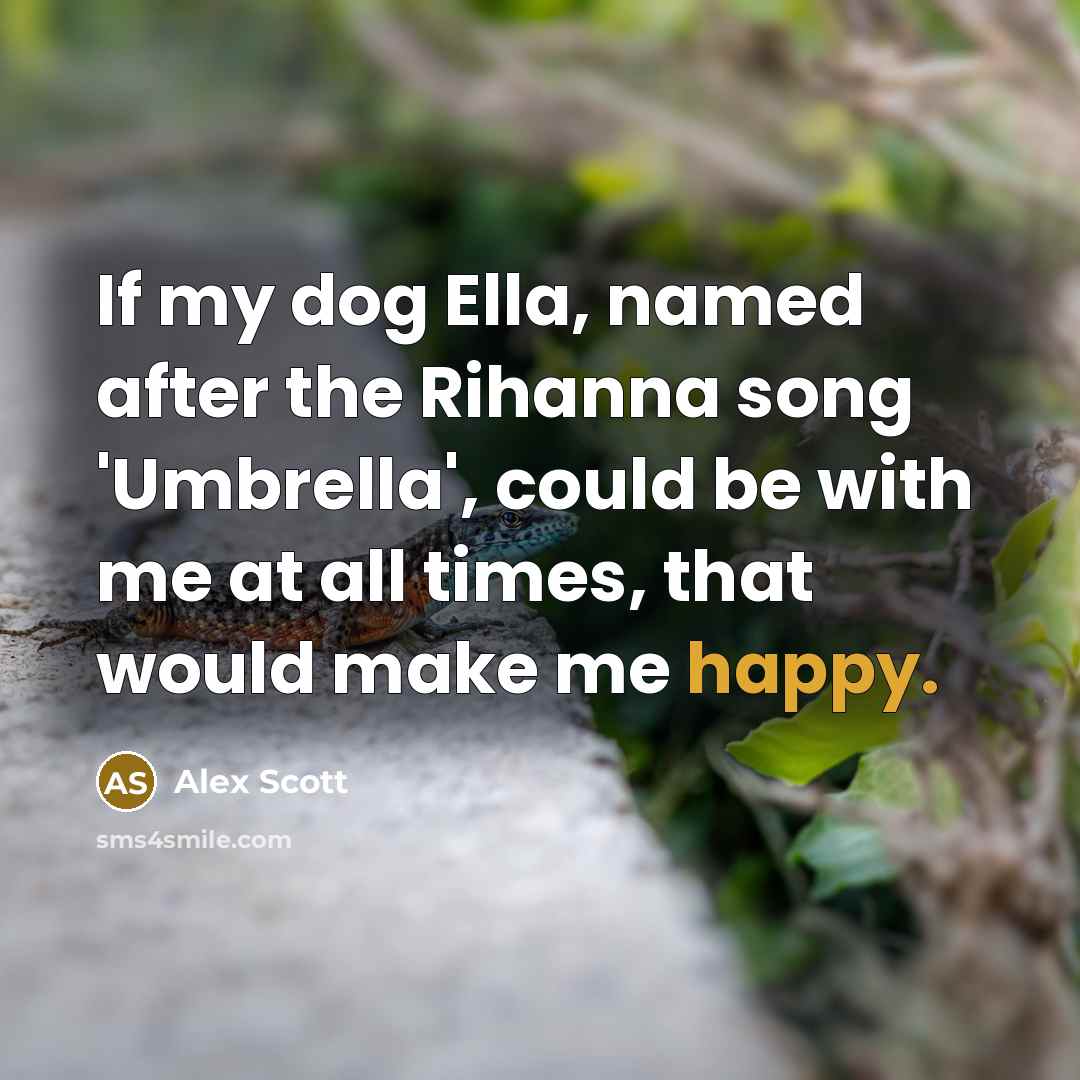 “If my dog Ella, named after the Rihanna song 'Umbrella', could be with me at all times, that would make me happy.” quote by Alex Scott